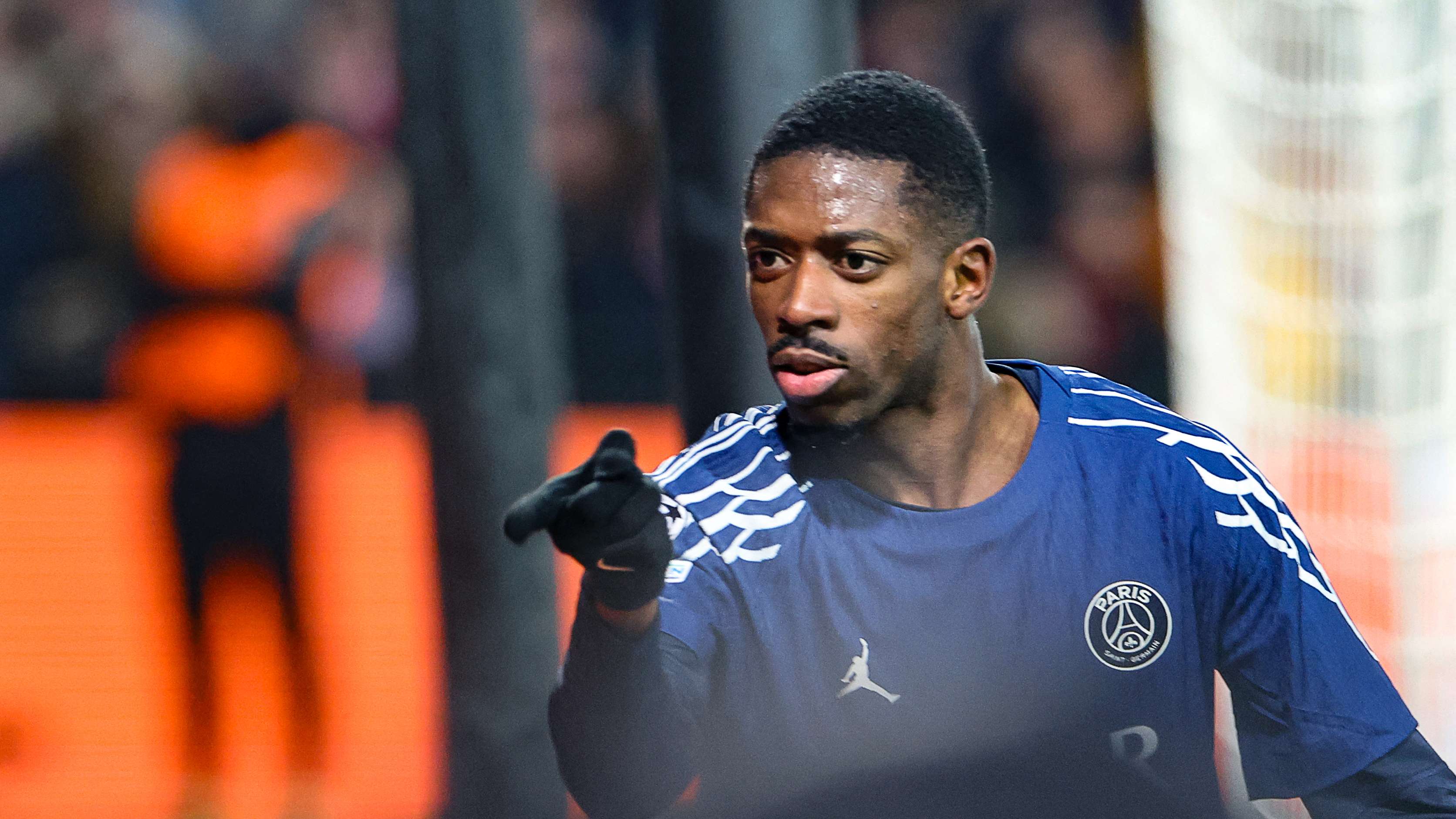 市场上的动 市场上的动