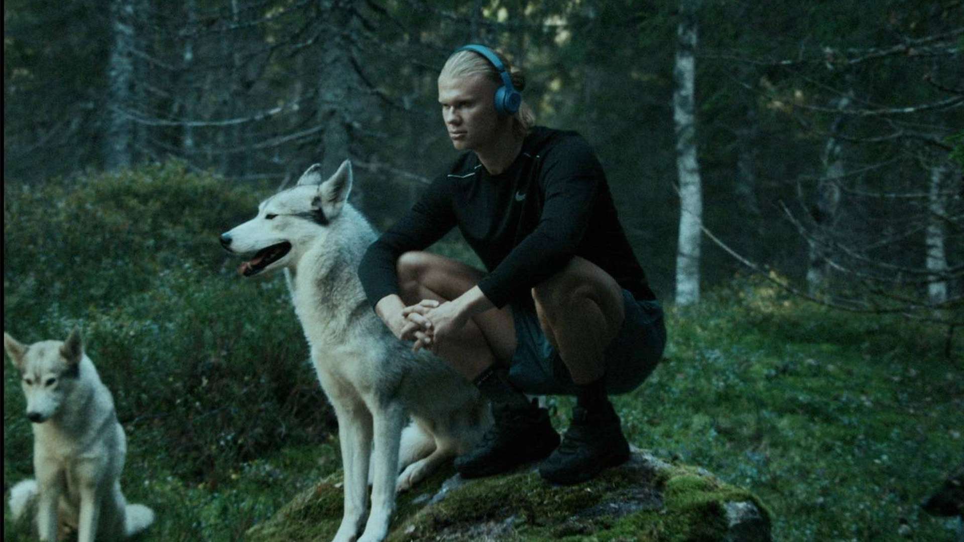 面的能力 面的能力