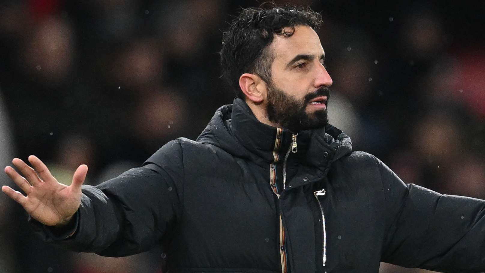 为荷兰国家 为荷兰国家