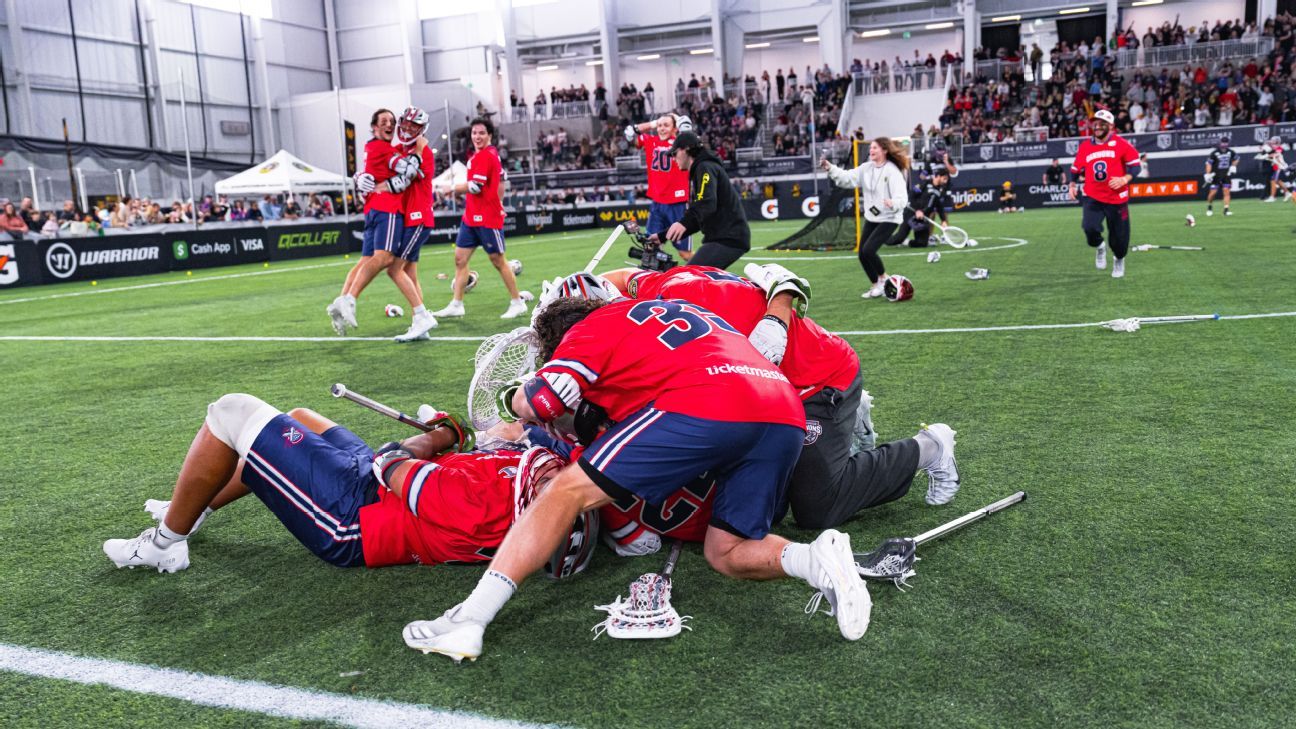 创新提供了 创新提供了